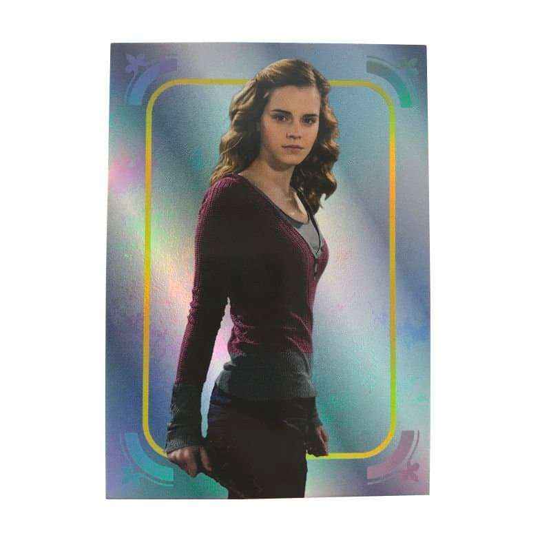 Harry Potter Evolution Trading Cards - Fan Bundle