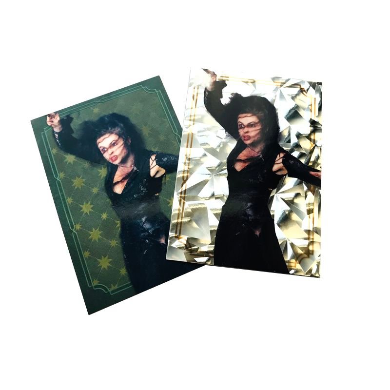 Harry Potter Evolution Trading Cards - Box mit 18 Tüten