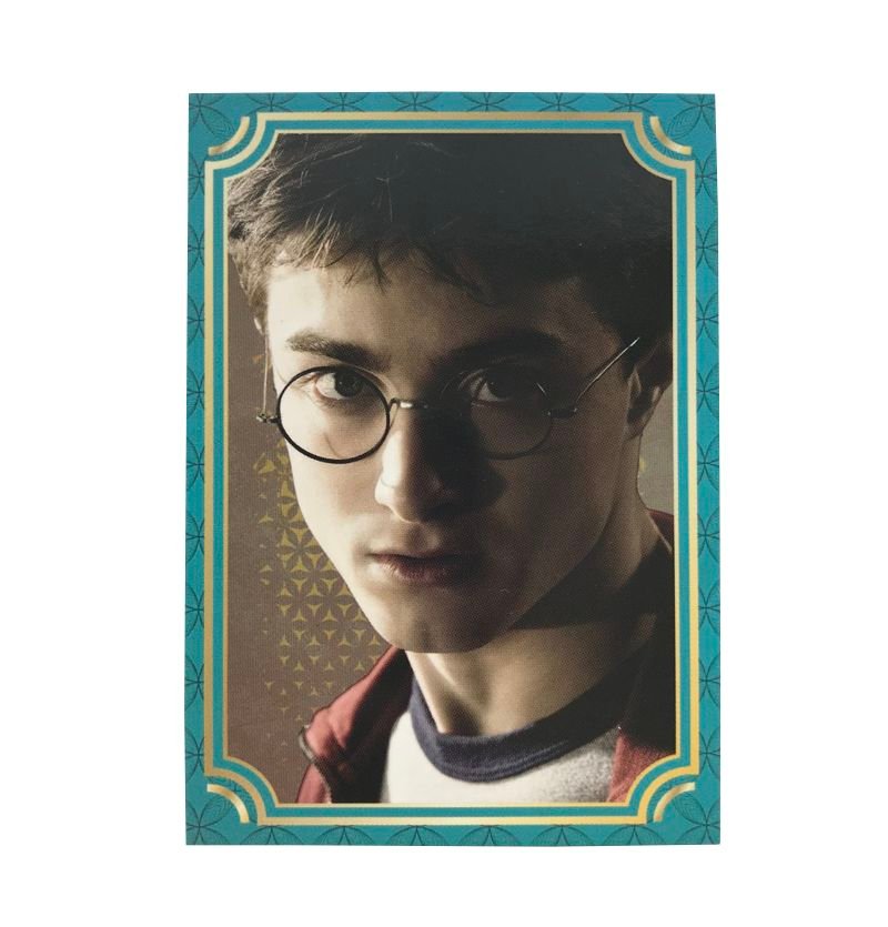 Harry Potter Evolution Trading Cards - Box mit 10 Fatpacks